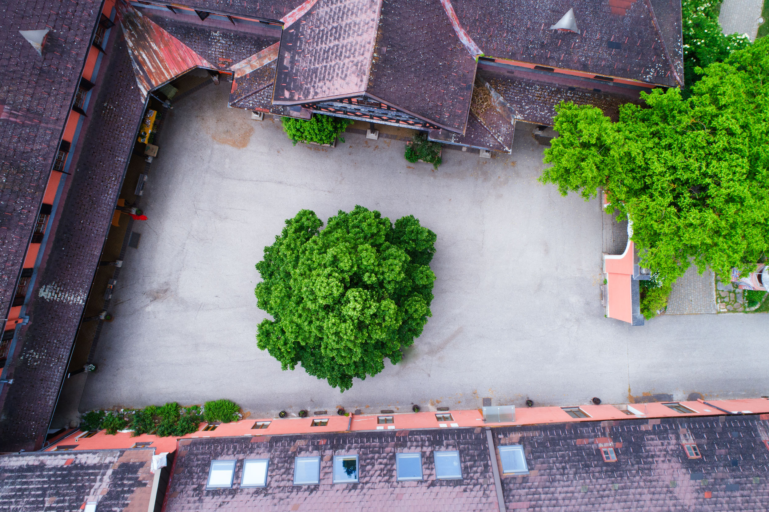 DJI_0013